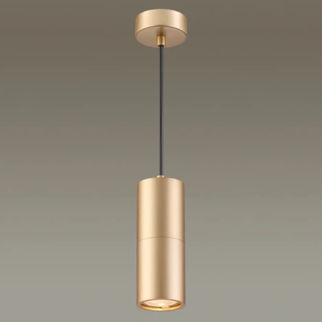 Подвесной светильник Odeon Light Duetta 3828/1