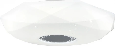 Настенно-потолочный светильник Мелодия Света CW1L 000020510