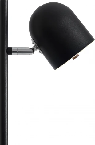 Торшер Freya Unique FR5279FL-L7B (LED, 220V, выключатель)