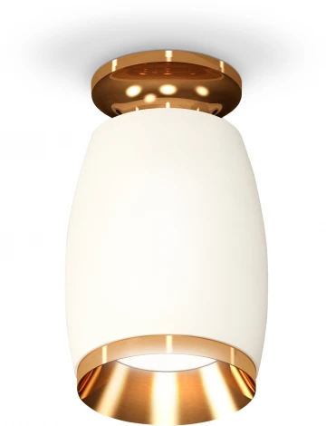 Накладной точечный светильник Ambrella Techno Spot XS1122044 (круглые)