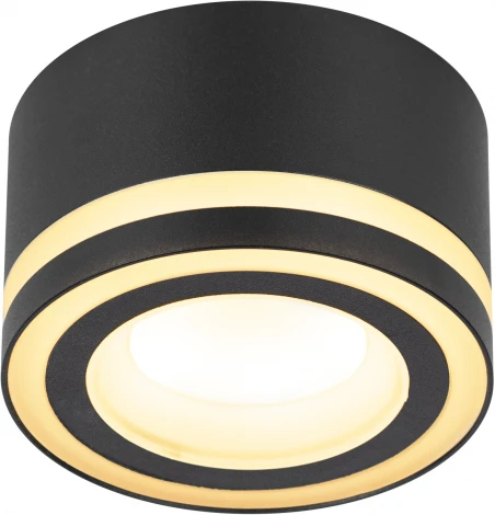 Точечный светильник ЭРА OL51 BK (220V)