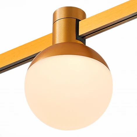 Магнитный трековый светильник ST Luce Farm ST815.206.05 (LED, 24V, шар)