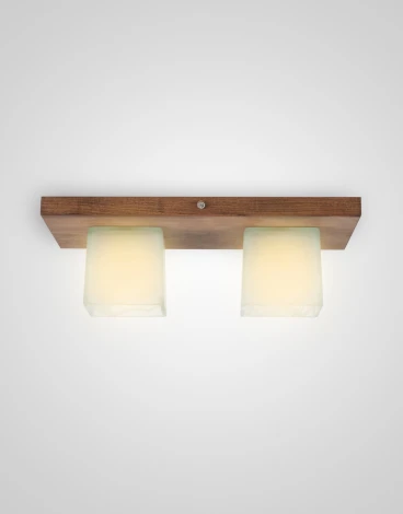 Потолочный светильник прямоугольный Мелодия Света SS1N 000036797