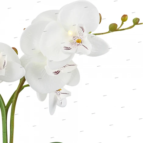 Интерьерная настольная лампа Globo Flowerpower 28002