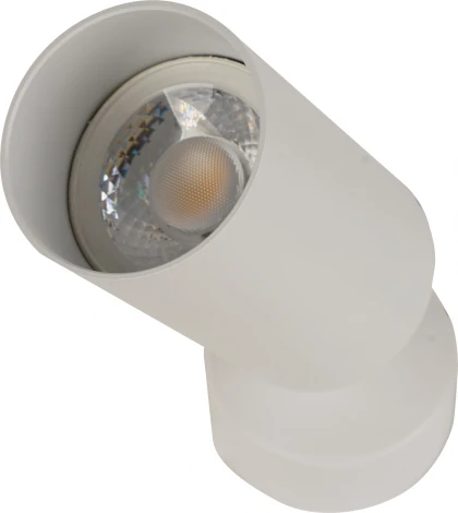 Спот Brizzi Aras BR08075