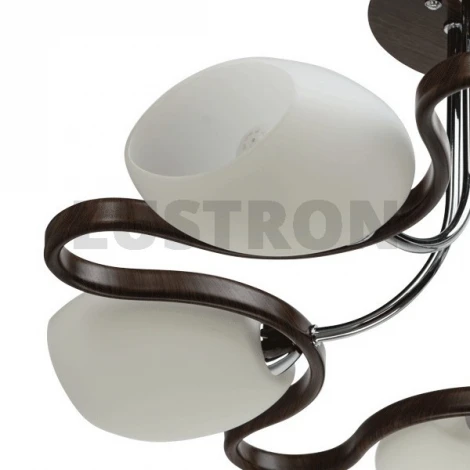 Потолочная люстра MW-Light Альфа 324011005