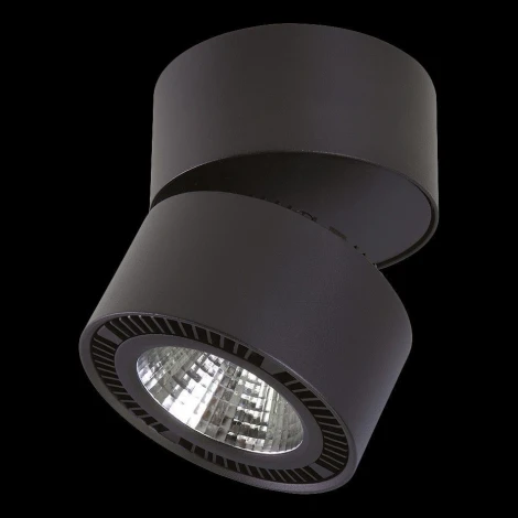 Спот карданный Lightstar Forte Muro 214817 (LED, 220V, круглые)