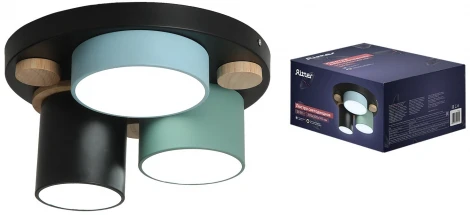 Потолочный светодиодный светильник Ritter Scandia 52074 0