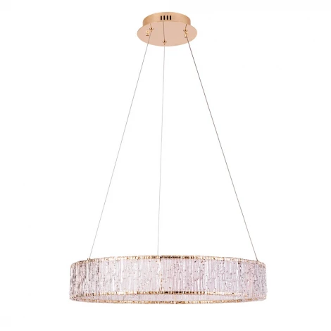 Подвесной светильник Divinare Teresa 1134/17 SP-32 (LED, 220V, на тросе, кольцо)