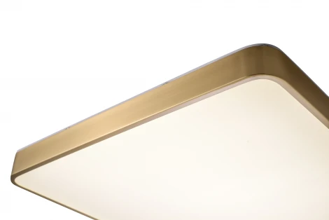 Потолочный светильник Zortes Monna ZRS.1209.05 (LED, 220V)