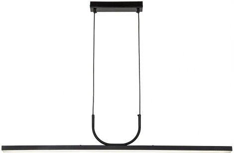 Подвесной светильник Favourite Raya 4096-2P (LED, 220V, на проводе)