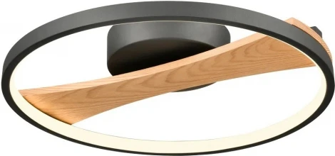 Потолочный светильник круглый Velante 450-047-01 (LED, 220V, круглые)