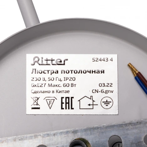 Потолочная люстра на штанге Ritter Volante 52443 4