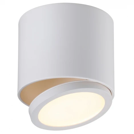 Спот карданный Omnilux Canicatt OML-20501-01 (LED, 220V, круглые)