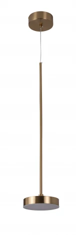 Подвесной светильник Zortes Lory ZRS.1055.01