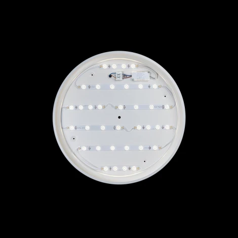Потолочный светильник круглый Loft IT Axel 10001/36 White (LED, 220V, круглые)