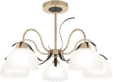 Потолочная люстра на штанге Arte Milano Napoli 327306/5 FG+BK (220V)