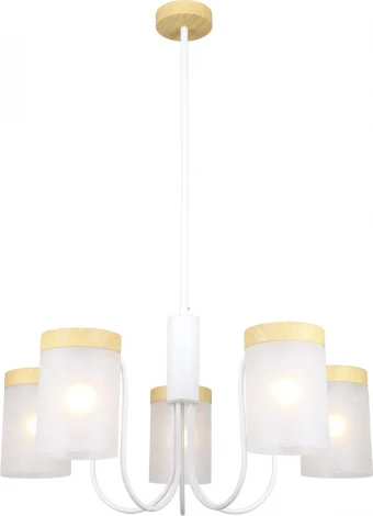 Потолочная люстра на штанге Escada Harmony 5x40Вт E14, металл/стекло, белый/дерево, матовый плафон (220V)