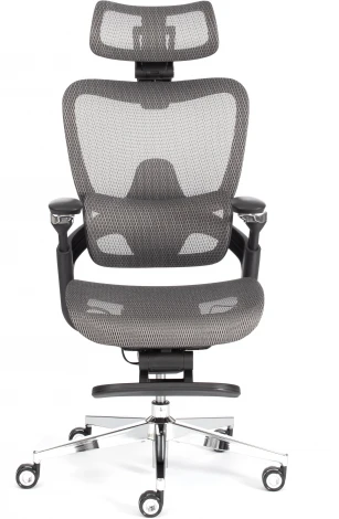 Кресло Sakura Tetchair (Сетка/Серый) арт.24858