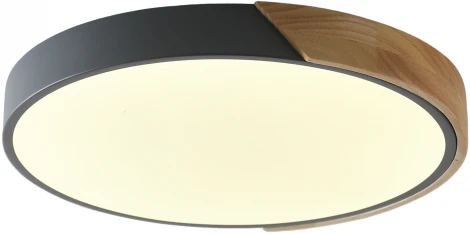 Потолочный светильник круглый Zortes Alberro ZRS.01280.90 (LED, 220V, круглые)