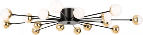 Потолочная люстра Freya Celebrity FR5242CL-16B (220V, шарики)