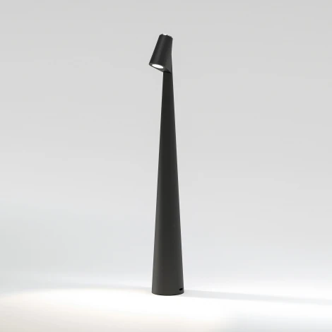 Настольная лампа светодиодная с аккумулятором Elektrostandard Elite TL70250 черный (регулировка яркости)