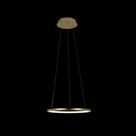 Подвесной светильник Loft IT Ring 10014S (LED, 220V, на тросе, кольцо)
