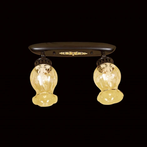 Потолочный светильник круглый Citilux Метафора CL413121 (220V)