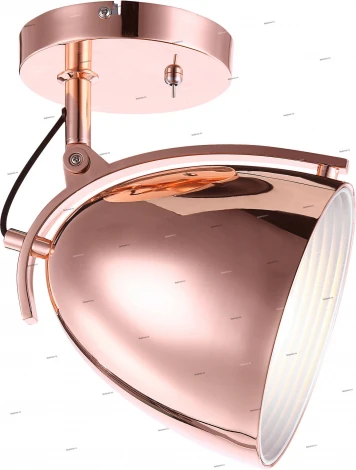 Globo Jackson 15134W