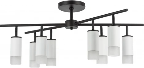 Люстра потолочная на штанге Rullo LR7283681 (571728+214436-8+202431-8) Lightstar (220V)
