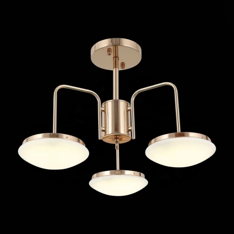 Потолочная люстра ST Luce Pratico SLE120.202.03