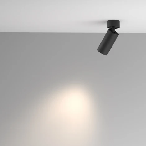 Потолочный спот Maytoni Artisan C082CL-01-GU10-B (220V, круглые)