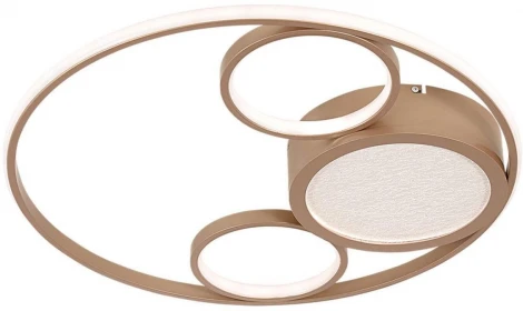 Потолочный светильник круглый F-Promo Campus 4681-4C (LED, 220V)