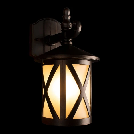 Настенный уличный фонарь Loft It Ravenna 100016W (220V, IP44)