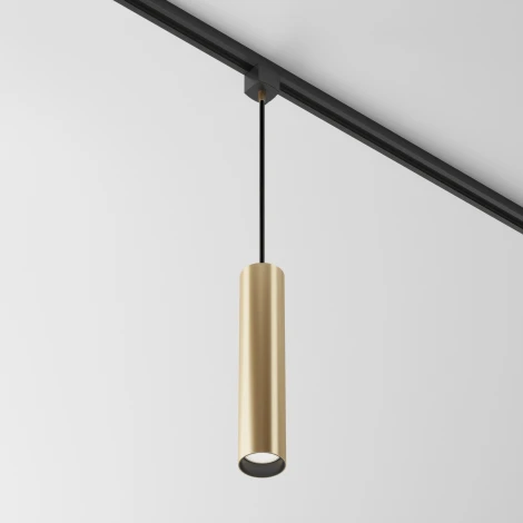 Трековый подвесной светильник Focus Unity GU10 50Вт (однофазный) Maytoni Technical TR025-1-GU10-MG (220V, круглые)