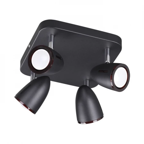 Спот Odeon Light Reanna 3824/4C