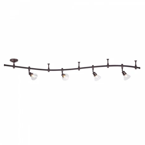 Спот Citilux Бисмарк CL564541