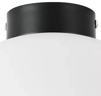 Потолочный светильник Lightstar Globo 812037