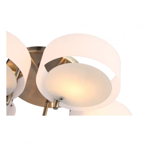 Потолочная люстра ST Luce Foresta SL483.352.05