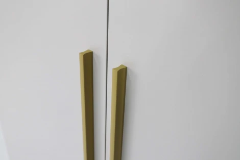 Шкаф Николь-2, Кашемир/Сатиновое золото Ивару 102010