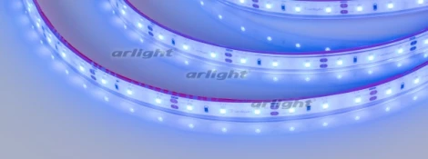 Светодиодная лента Arlight RTW 2-5000PGS 013393