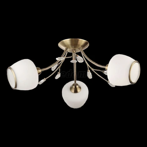 Collezioni Rumba TC-110-403