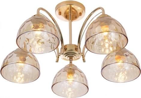 Потолочная люстра на штанге Rivoli Terri 9172-305 (220V)