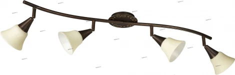 Massive Meriana 51164-43-10