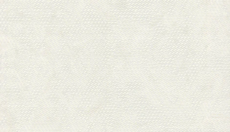 Обои виниловые Zambaiti Lamborghini II 90036 10,05 х 0,70 м