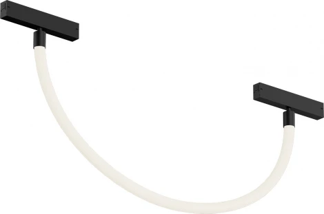 Трековый светильник с гибким неоном 220 Denkirs Smart Ray DK8060-BK (LED, пульт управления)