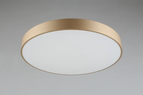 Потолочный светильник Virzhini APL.023.07.68