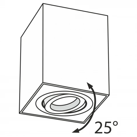 Накладной точечный светильник Maytoni Alfa C017CL-01S (220V)