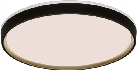 Потолочный светильник Lumina Deco Paneli LDC 8061-48W BK