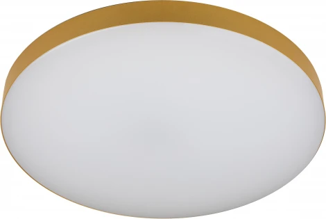 Потолочный светильник круглый светодиодный с пультом и регулировкой цветовой температуры ЭРА Relict 48 Pult SPB-6-60-RC MG (220V, круглые)